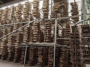 Meningkatnya Penggunaan Pulp Cetakan dalam Aplikasi Industri Otomotif