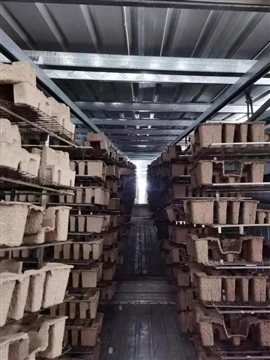 Peningkatan Kapasitas Pulp yang Dibentuk: Penjelasan-Peningkatan Fasilitas di...